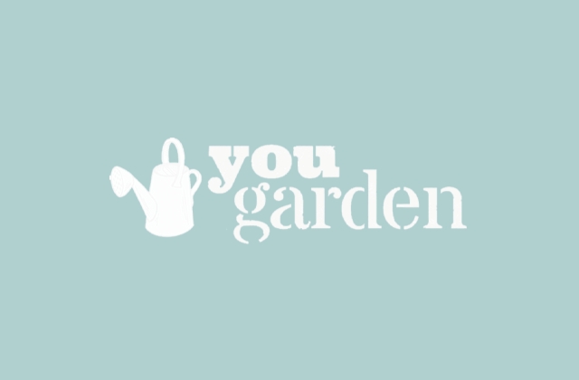 you garden case study banner