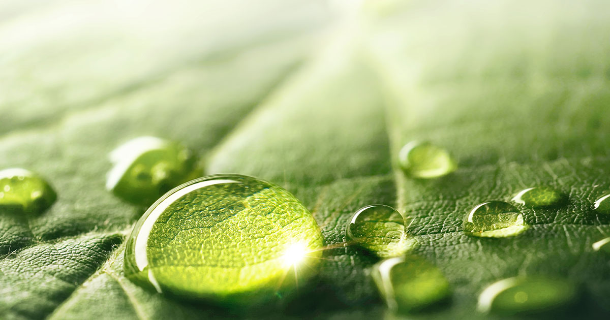 Ricoh ranked 39th in Carbon Clean200™ 2025 list